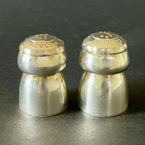 Salt & Pepper Shakers