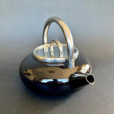 Fissler Water Kettle